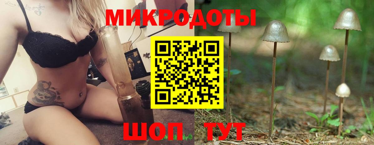 Псилоцибиновые грибы мицелий Александров