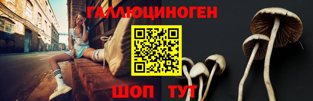 Псилоцибиновые грибы Magic Shrooms  Вход с VPN  Александров 